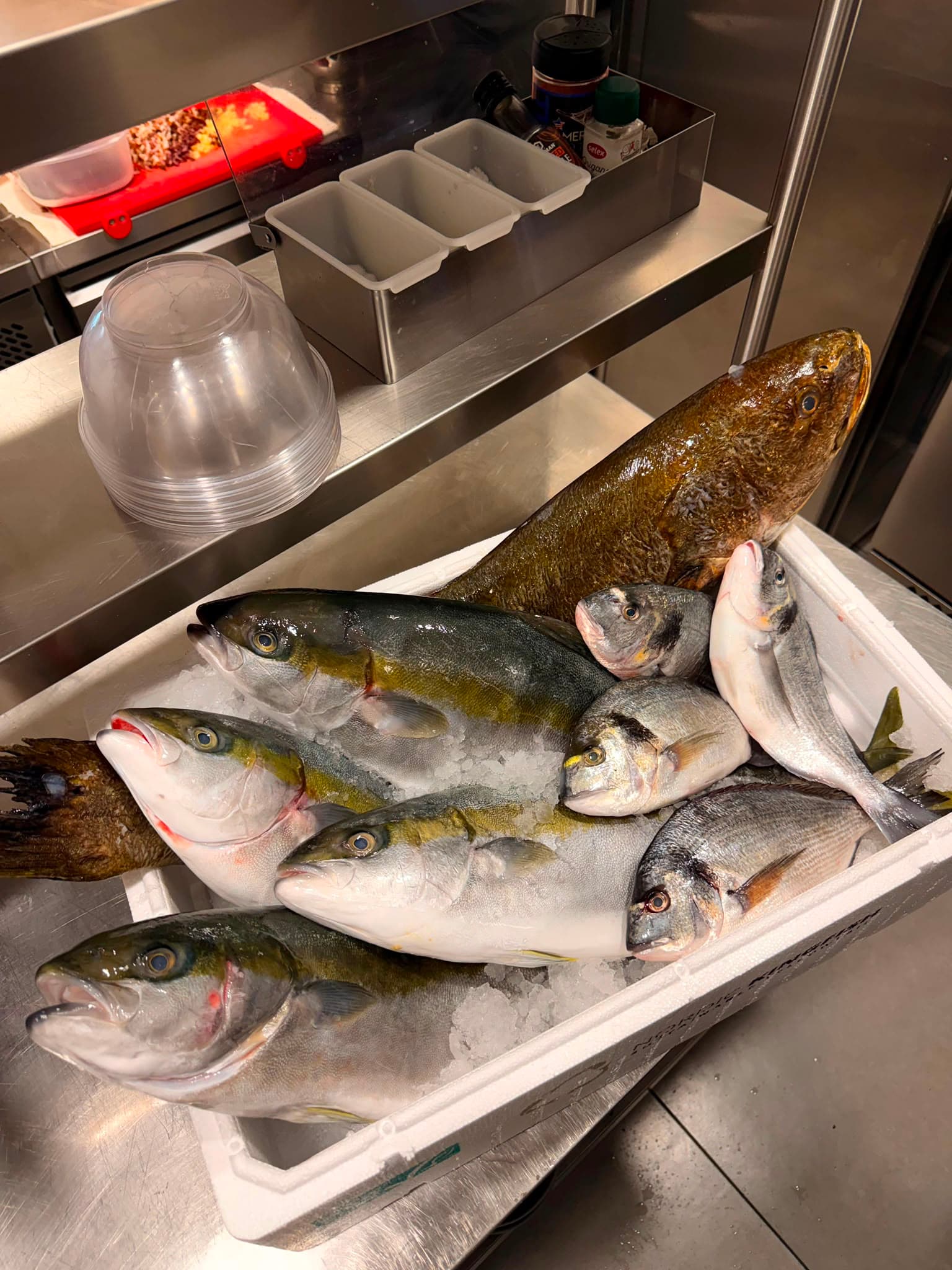 Pesce fresco del giorno sulla ghiaccio in cucina